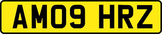 AM09HRZ