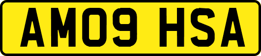 AM09HSA