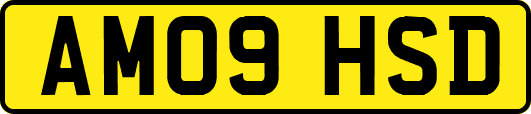 AM09HSD