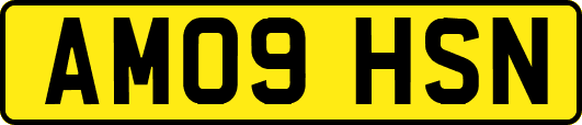 AM09HSN