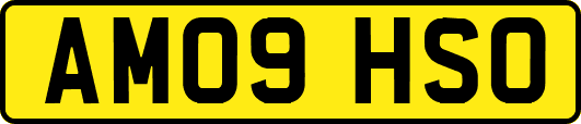AM09HSO