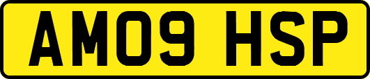 AM09HSP