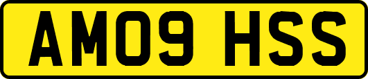 AM09HSS