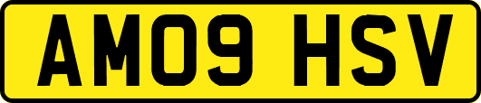 AM09HSV