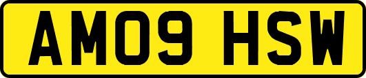 AM09HSW