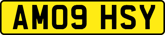 AM09HSY