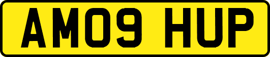 AM09HUP