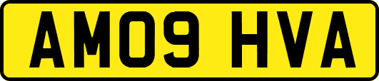 AM09HVA