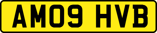 AM09HVB