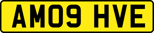 AM09HVE