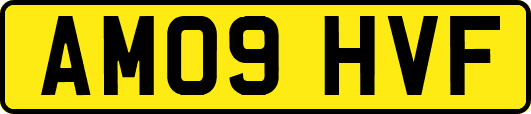 AM09HVF