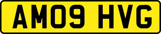 AM09HVG