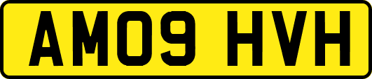 AM09HVH