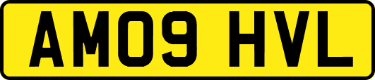 AM09HVL
