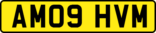 AM09HVM