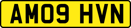 AM09HVN