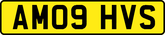 AM09HVS