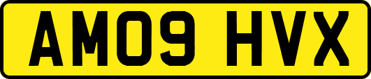 AM09HVX