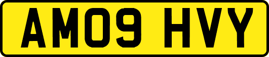 AM09HVY
