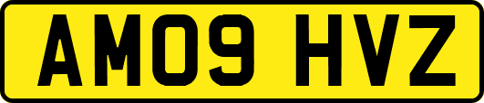 AM09HVZ