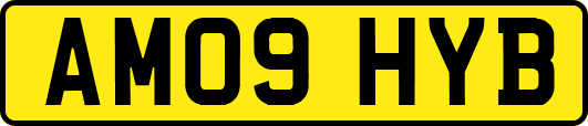 AM09HYB