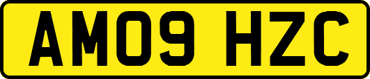 AM09HZC