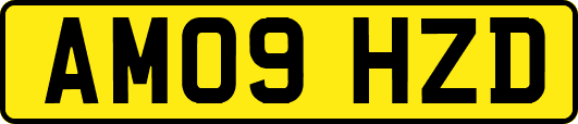 AM09HZD