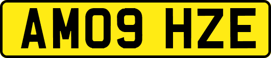 AM09HZE