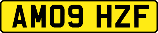 AM09HZF