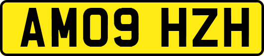 AM09HZH