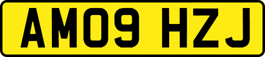 AM09HZJ