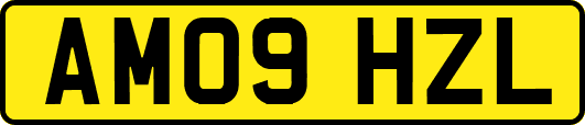 AM09HZL