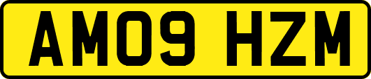 AM09HZM