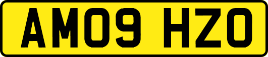 AM09HZO