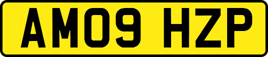 AM09HZP