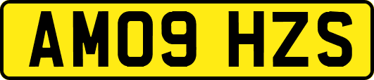 AM09HZS