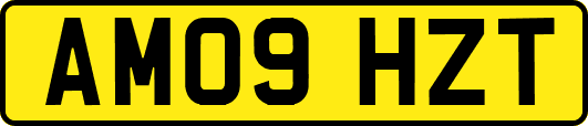 AM09HZT