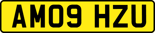 AM09HZU