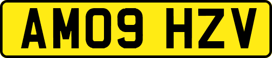 AM09HZV