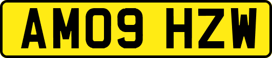 AM09HZW