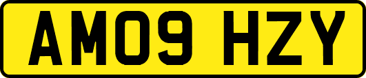 AM09HZY
