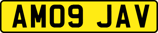 AM09JAV