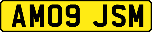 AM09JSM