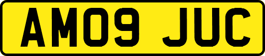 AM09JUC