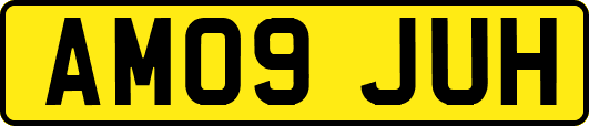 AM09JUH