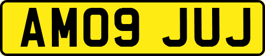 AM09JUJ