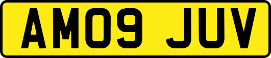AM09JUV