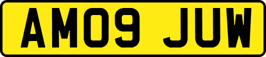 AM09JUW