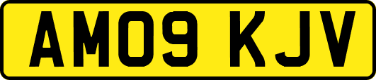 AM09KJV