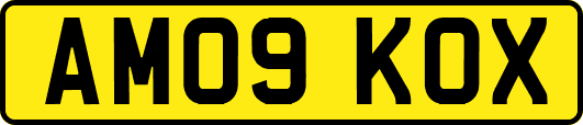 AM09KOX